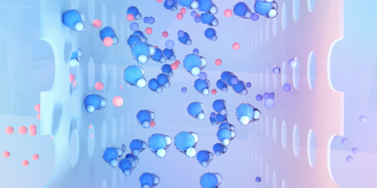 EDI Schematic Picture