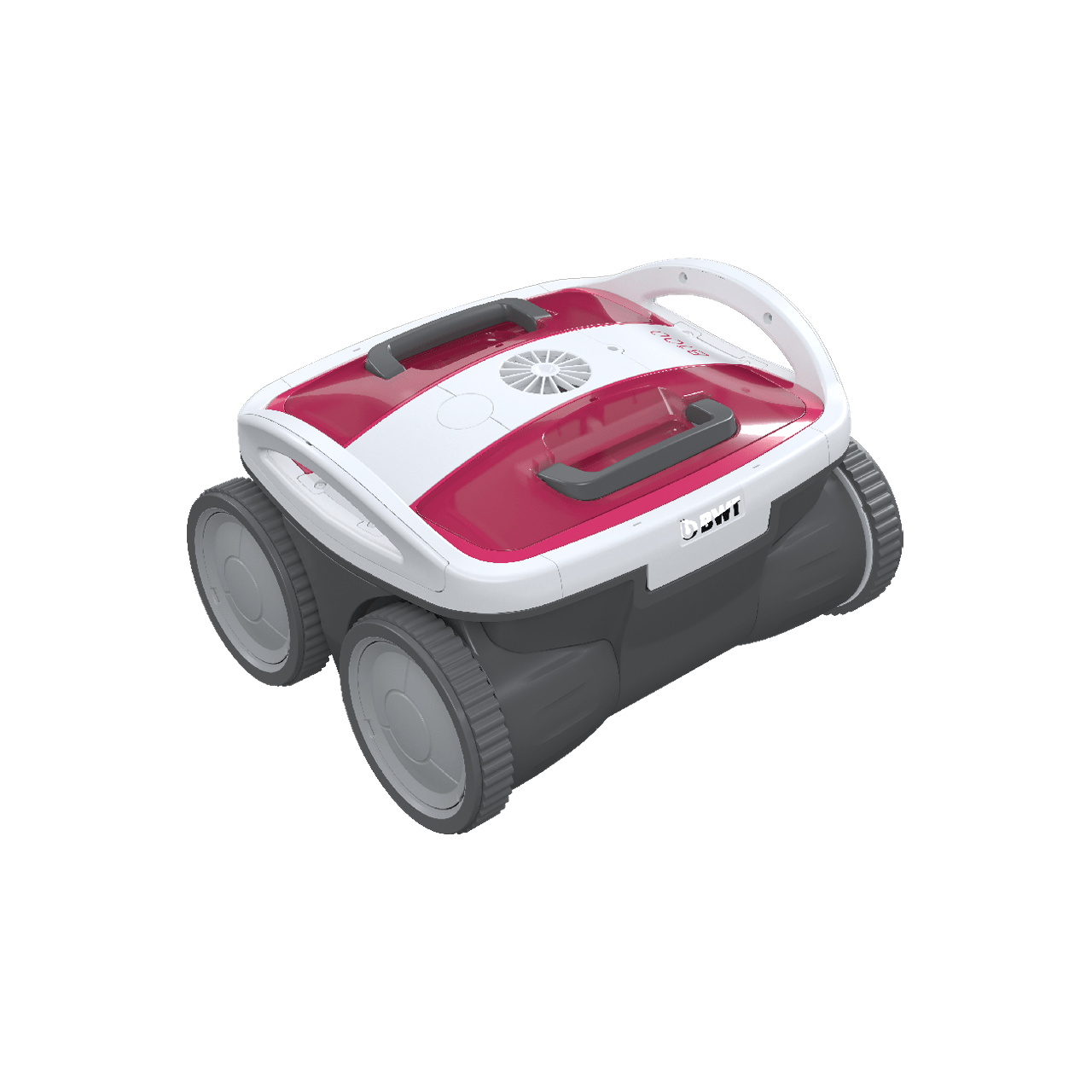 BWT Poolroboter B100