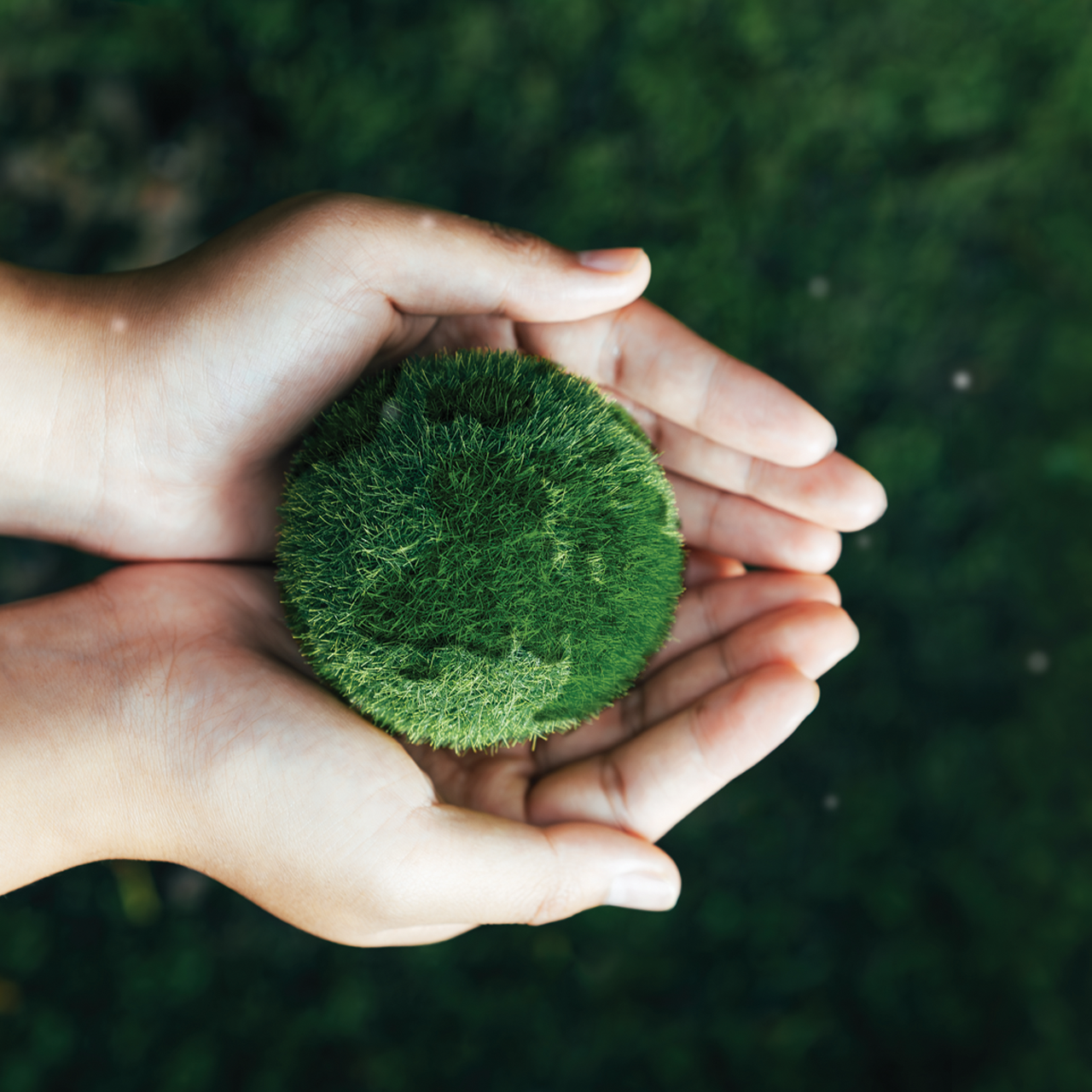 BWT Recycling-Program med bestfiltre