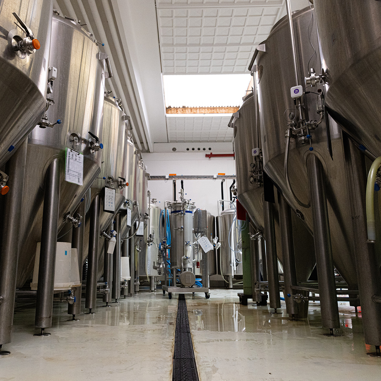 Vandbehandling til brygvand