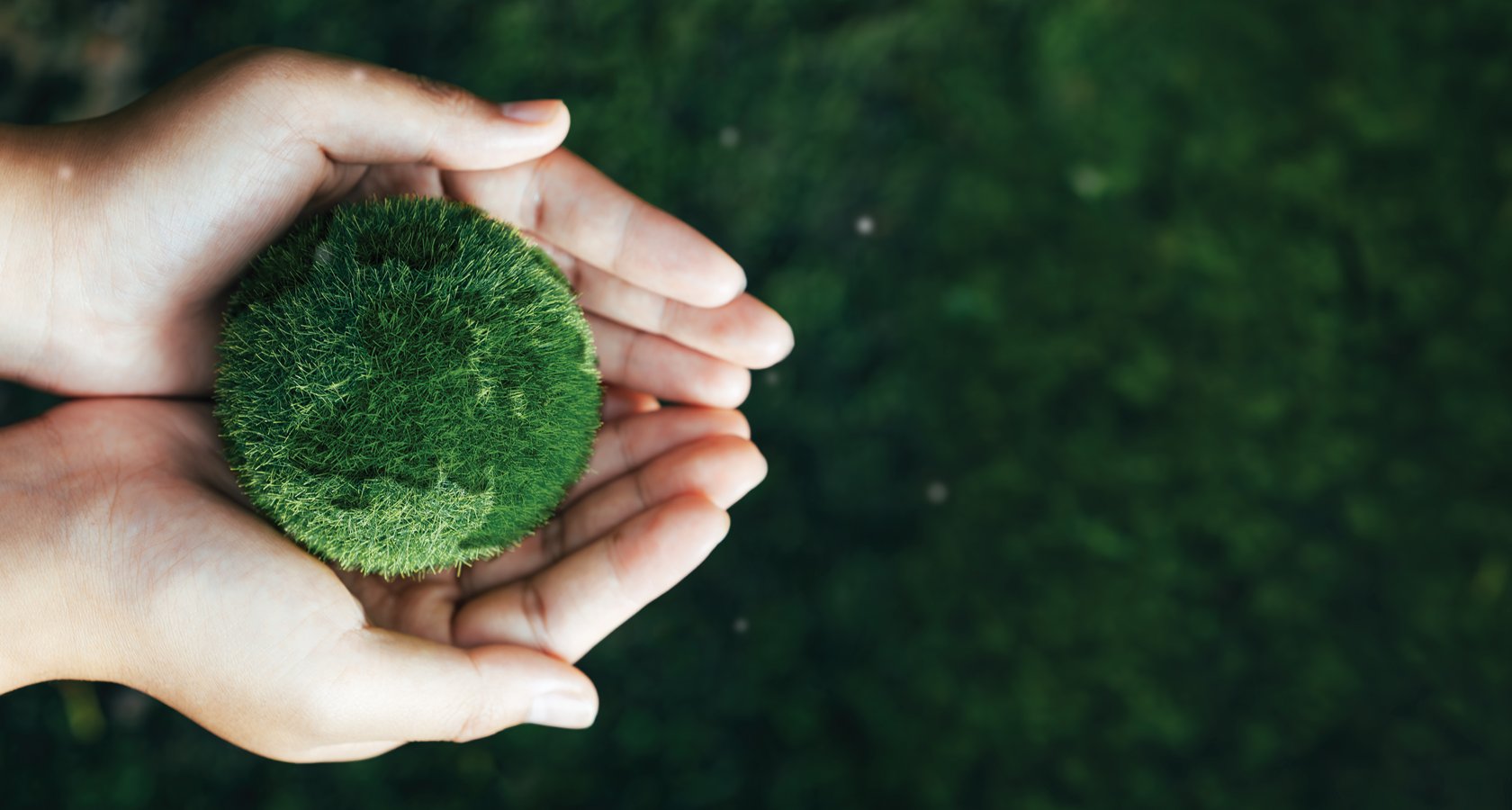 BWT recycling program – genanvendelse af vandfiltre
