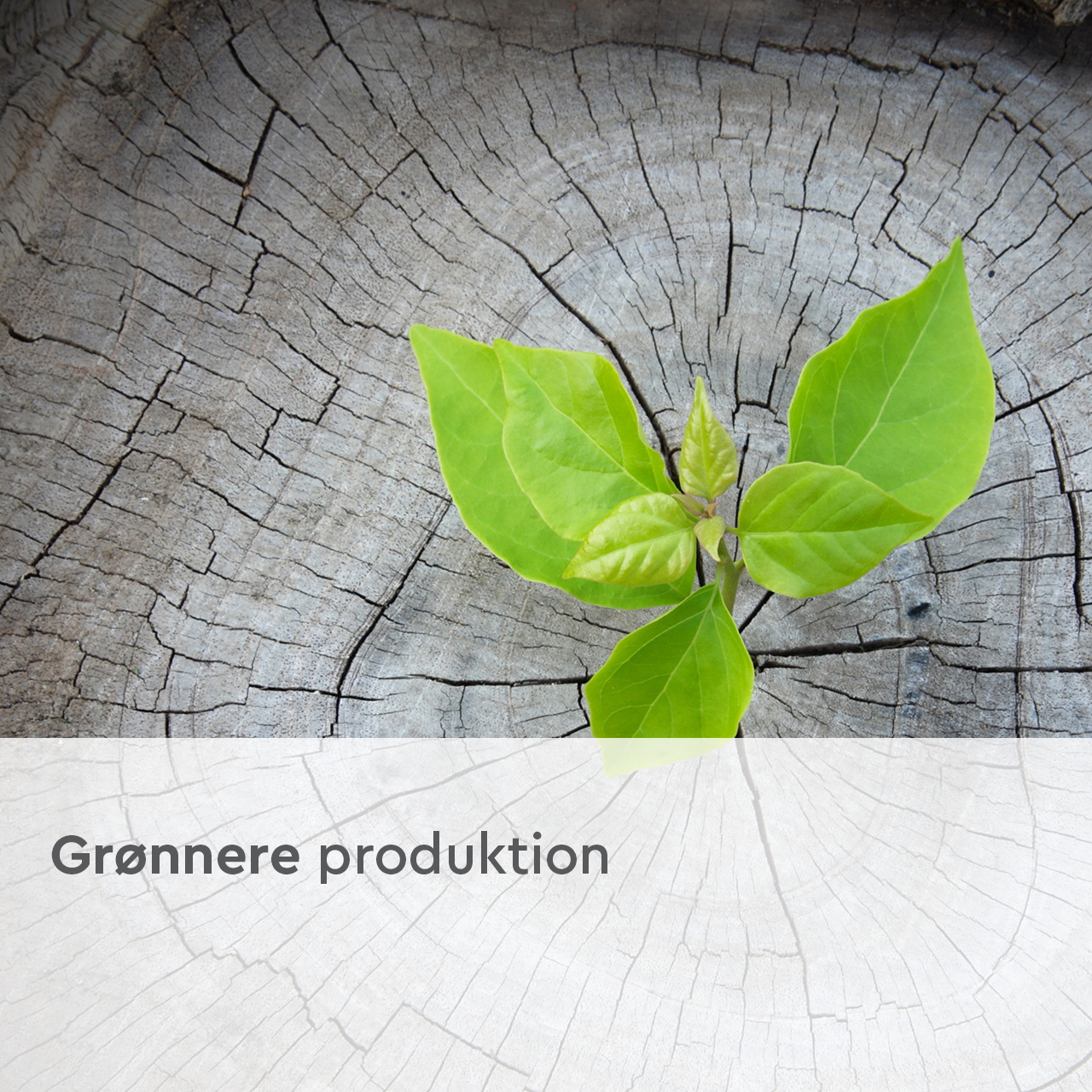 Grønnere produktion