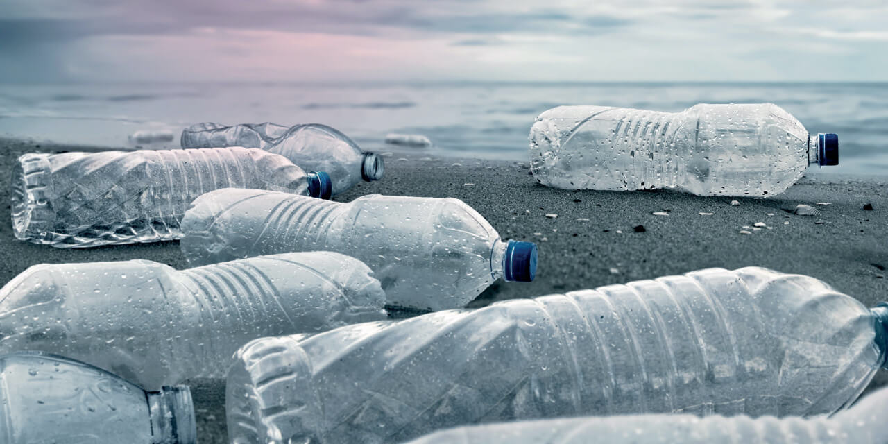 For you and planet blue