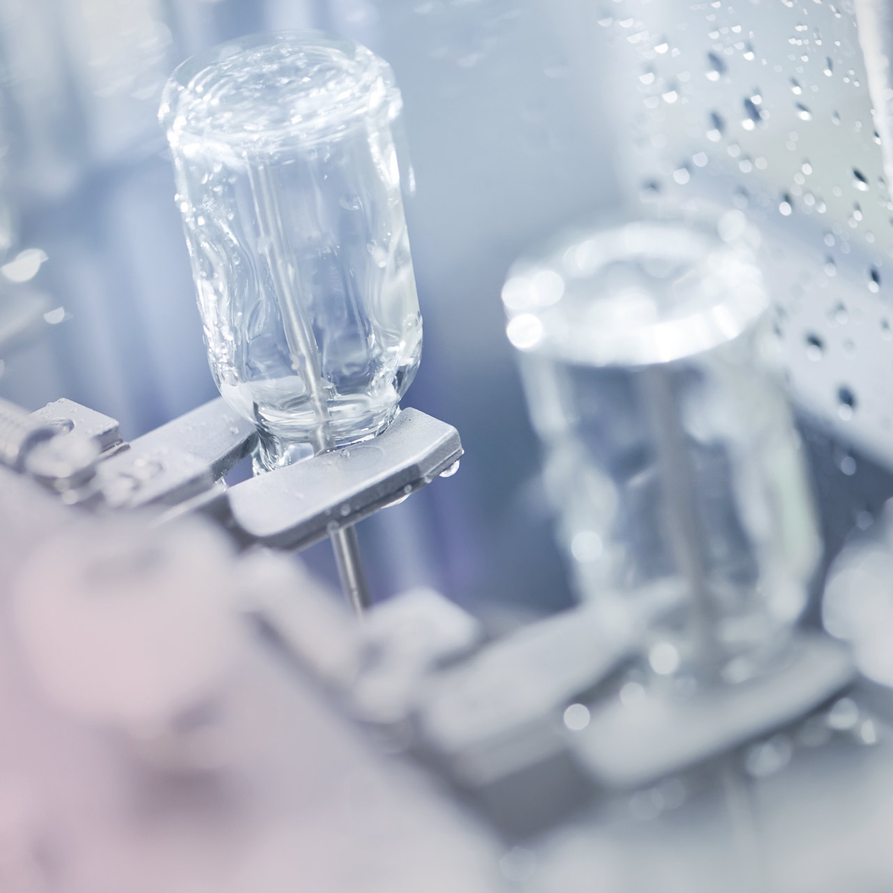 BWT Reinstwasser-Seminar