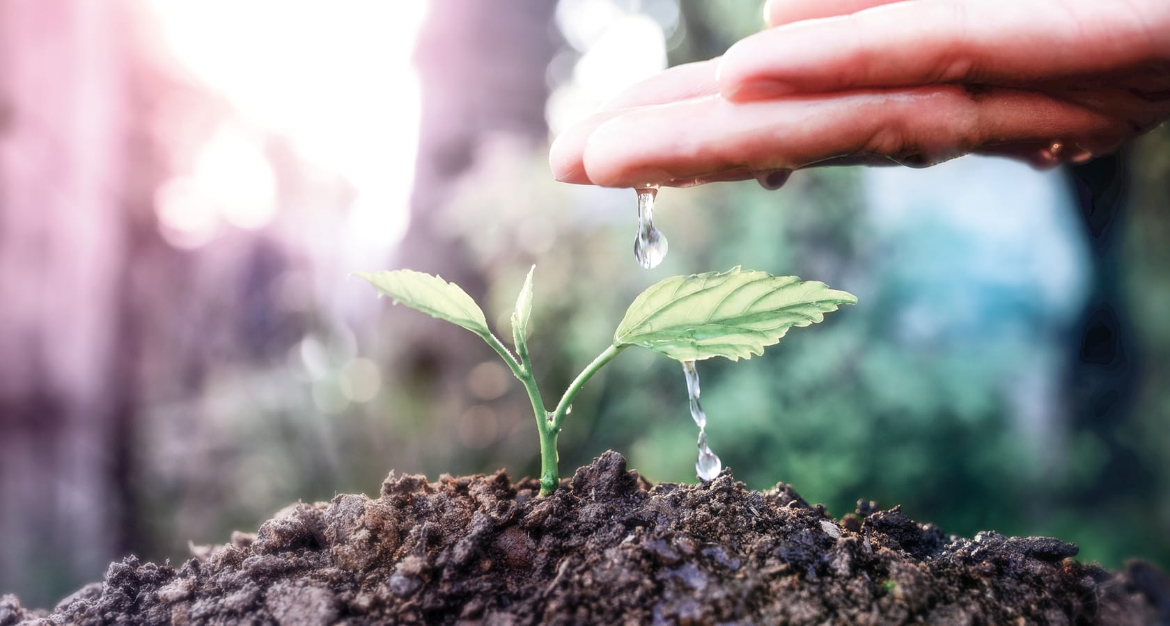 CO2 Fußabdruck berechnen - BWT