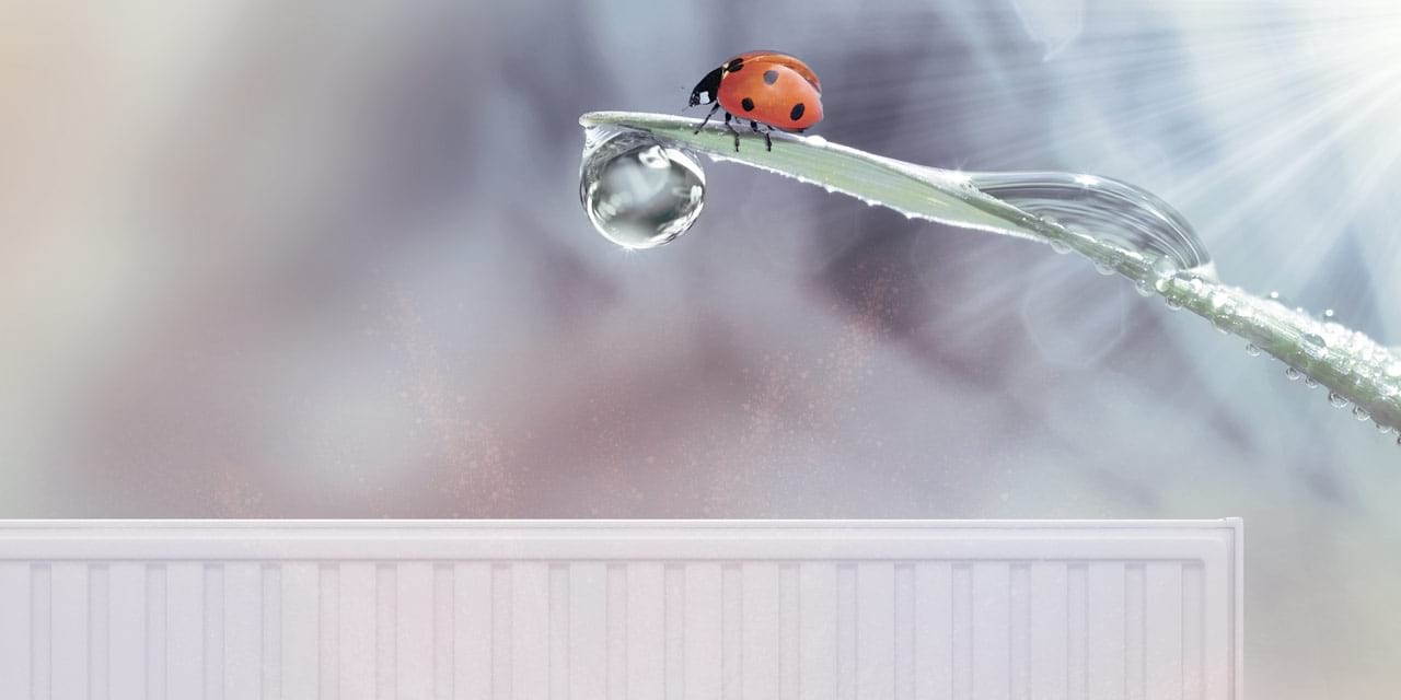 Nachhaltiger Heizungsschutz