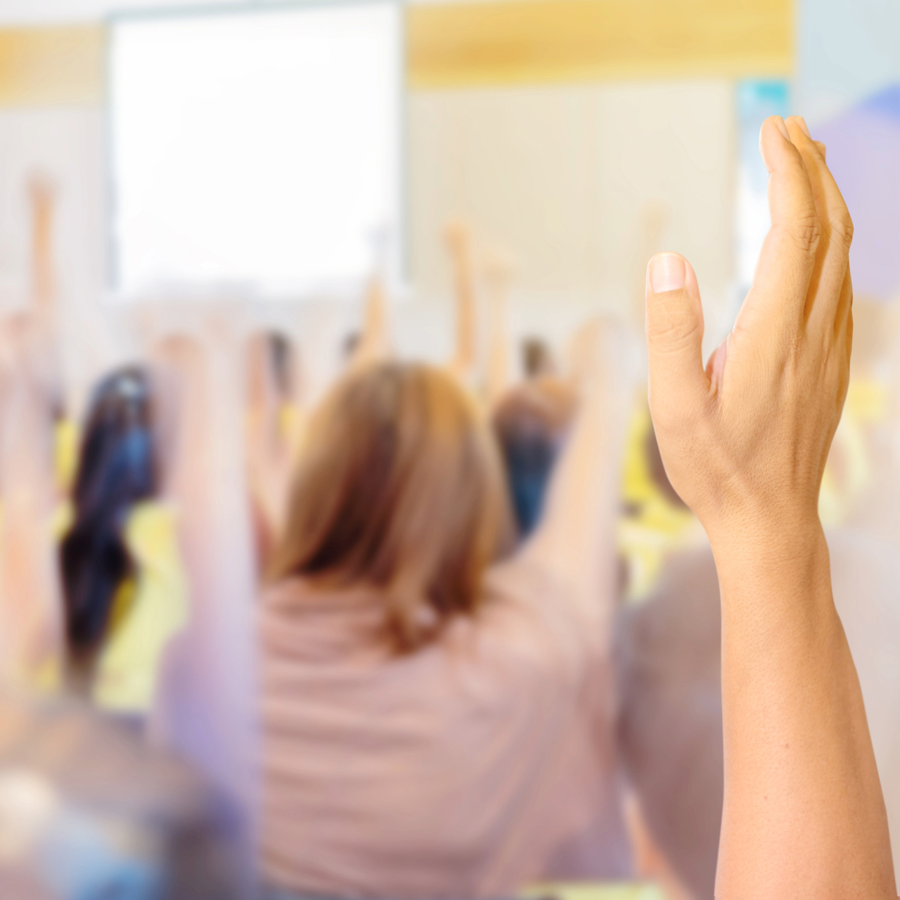 forslag til bestyrelsen