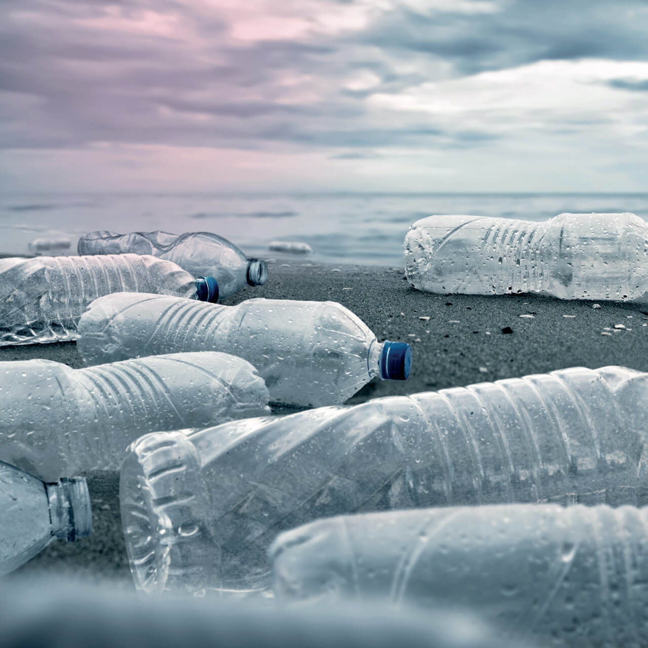 For you and planet blue