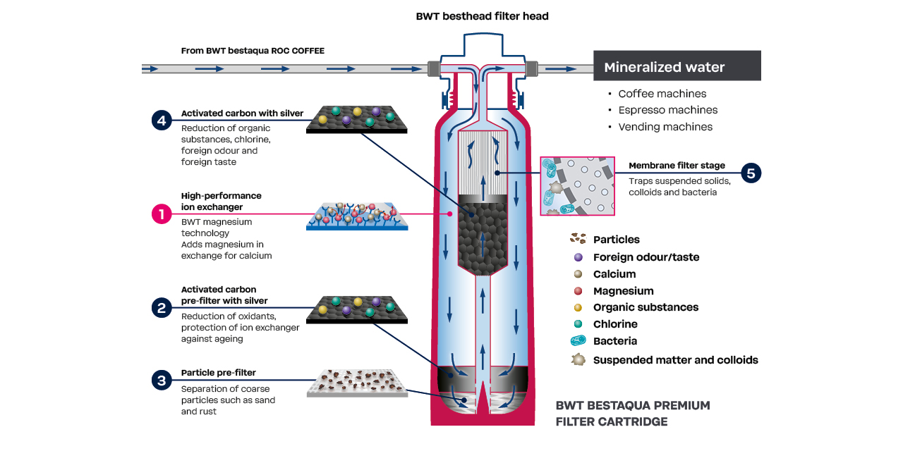 Filter cross-section