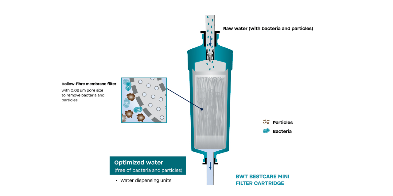 Filter cross-section
