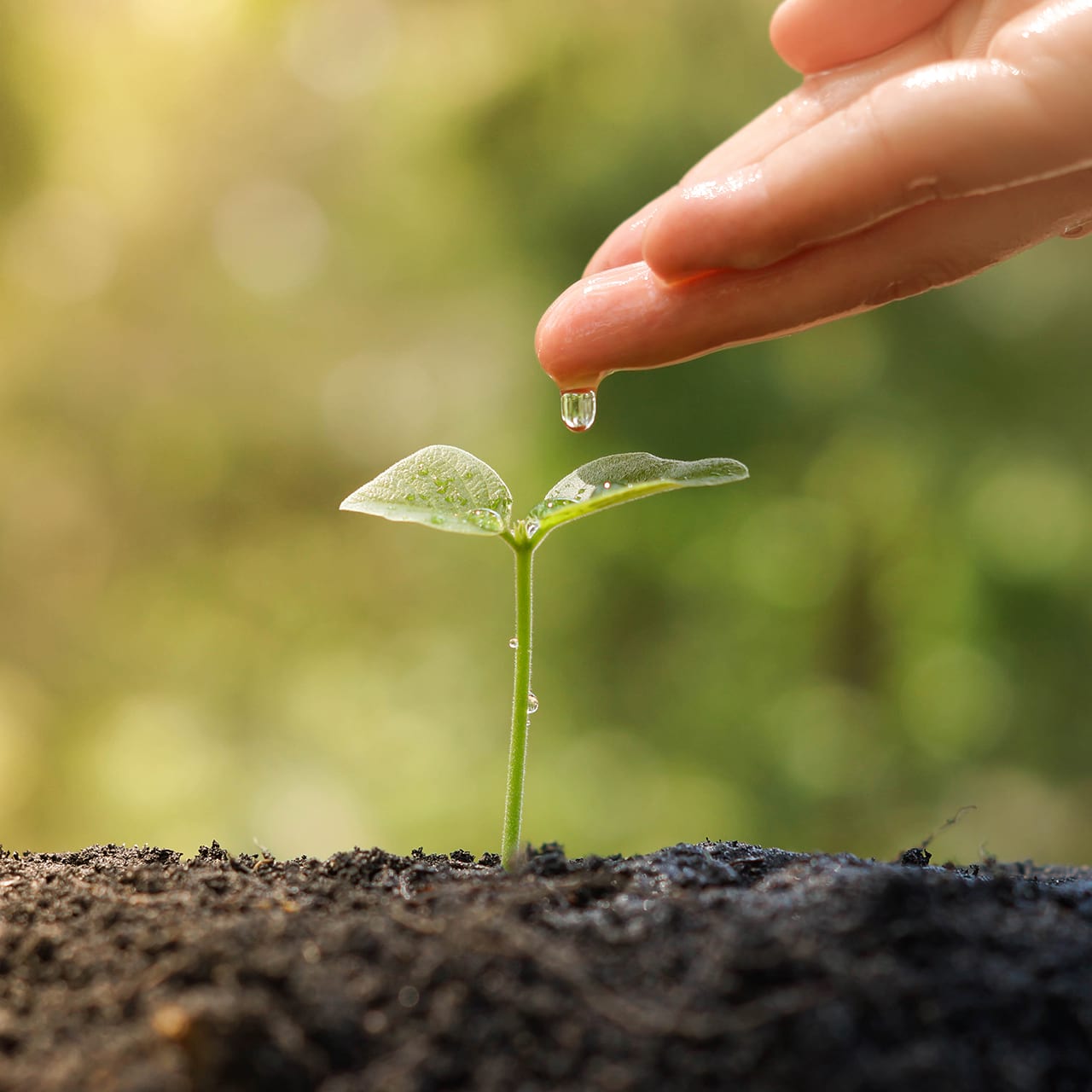 /BWT/Global Data/Images/Products Mood/BWTMagnesiumMineralizer_galery3_1280x1280