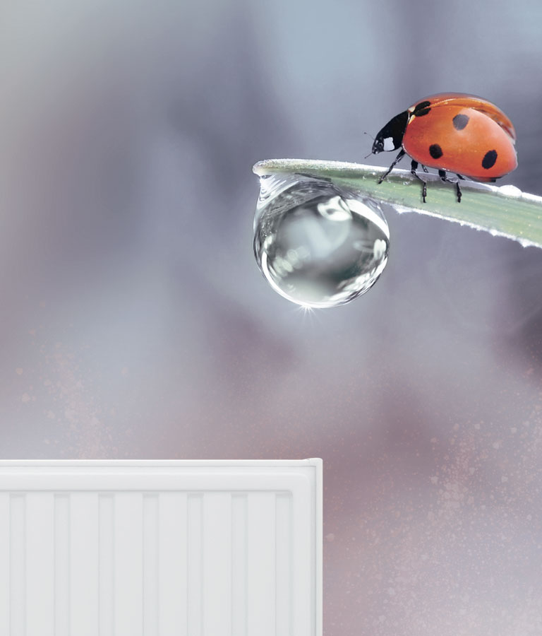 Nachhaltiger Heizungsschutz