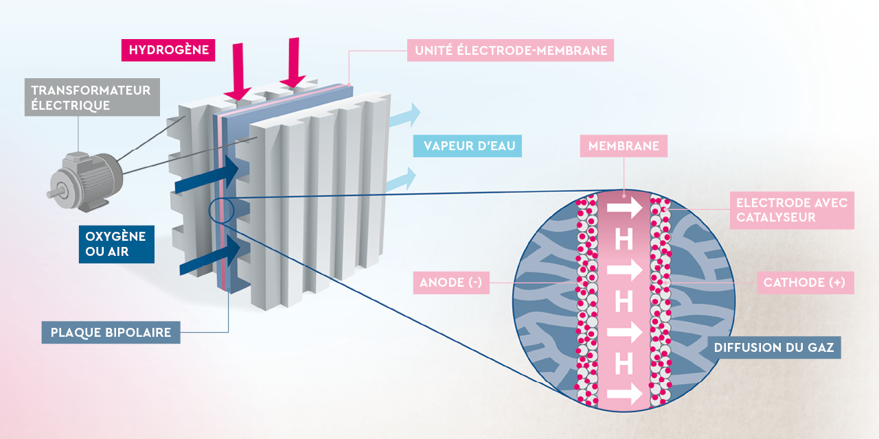 Le graphique explique la pile à combustible.