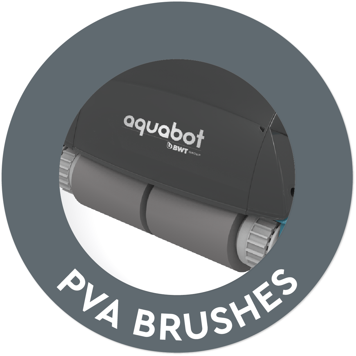 PVA brushes