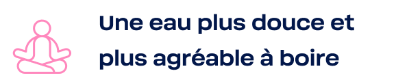 filtre-charbon-actif-eau-douce-agreable-boire-bwt-mobile