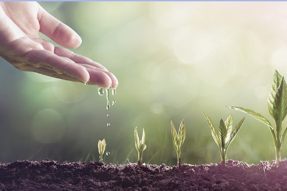 efficacité hydrique