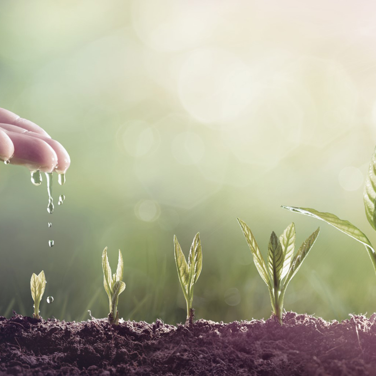 efficacité hydrique