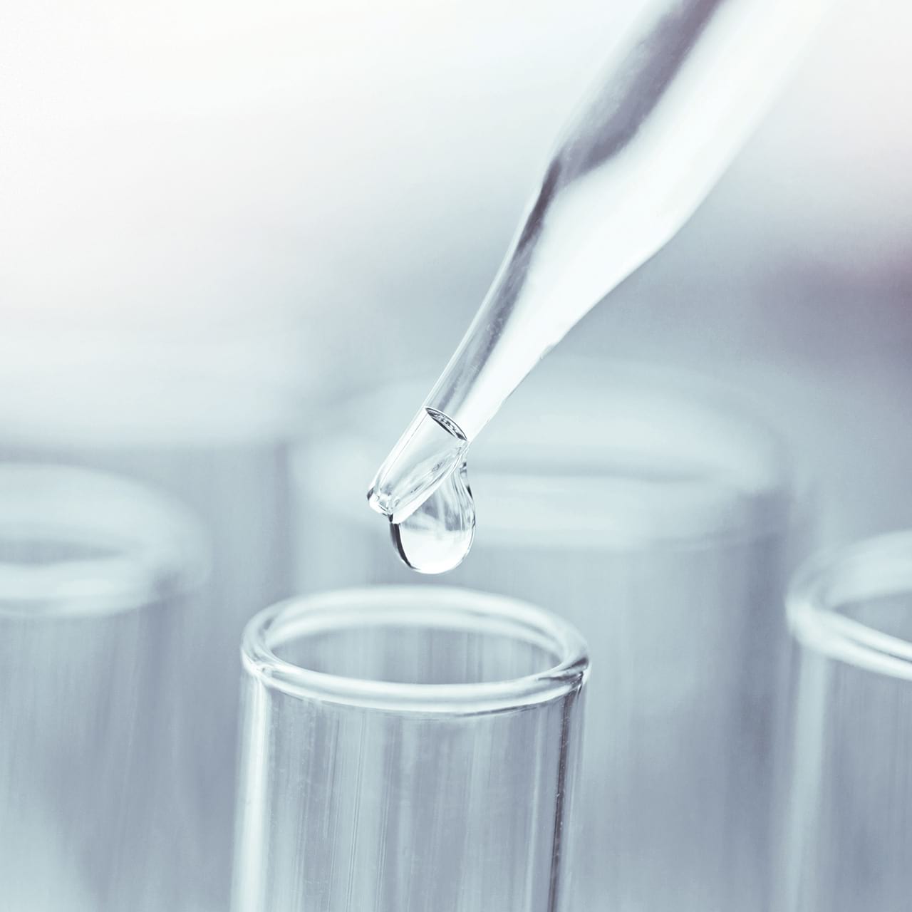 C Est Quoi Le Titre Hydrotimetrique Bwt