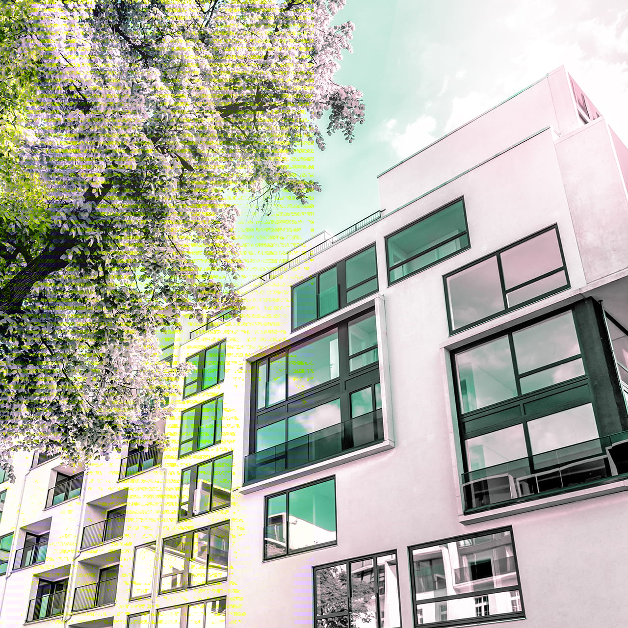 BWT vízlágyítás társasházak esetén