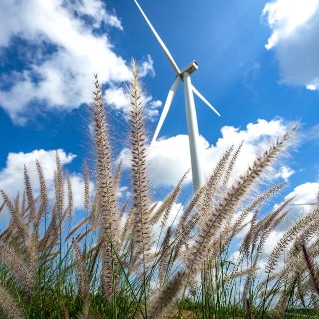 fenntartható energia