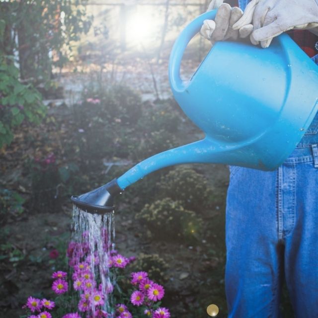 kertrendezés podcast