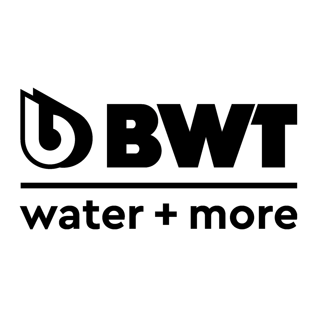 BWT water and more logo