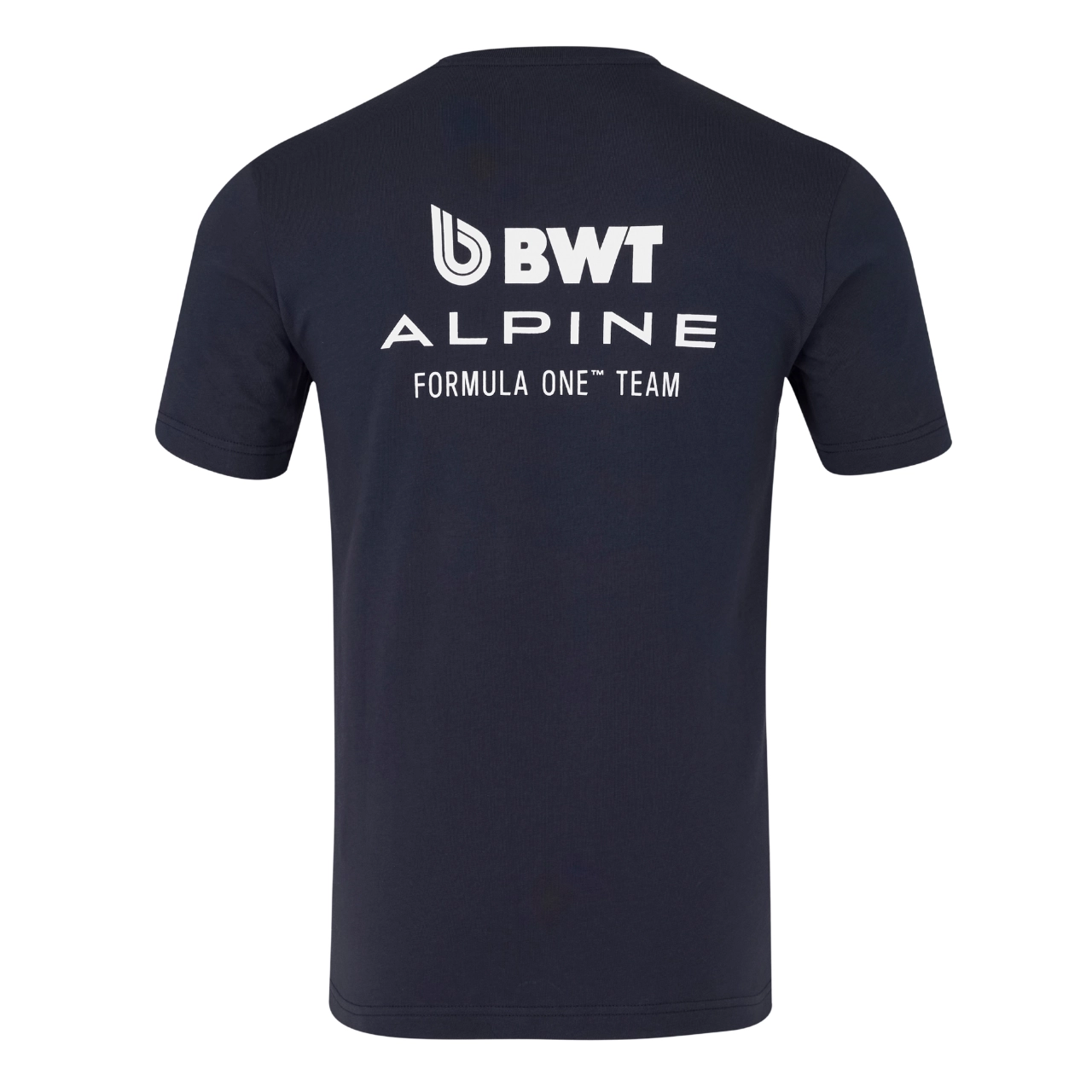 alpine-regular-tee_2