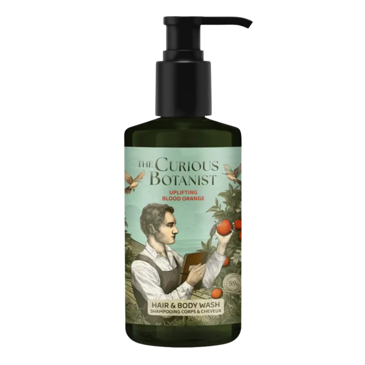 curious-botantis-regular