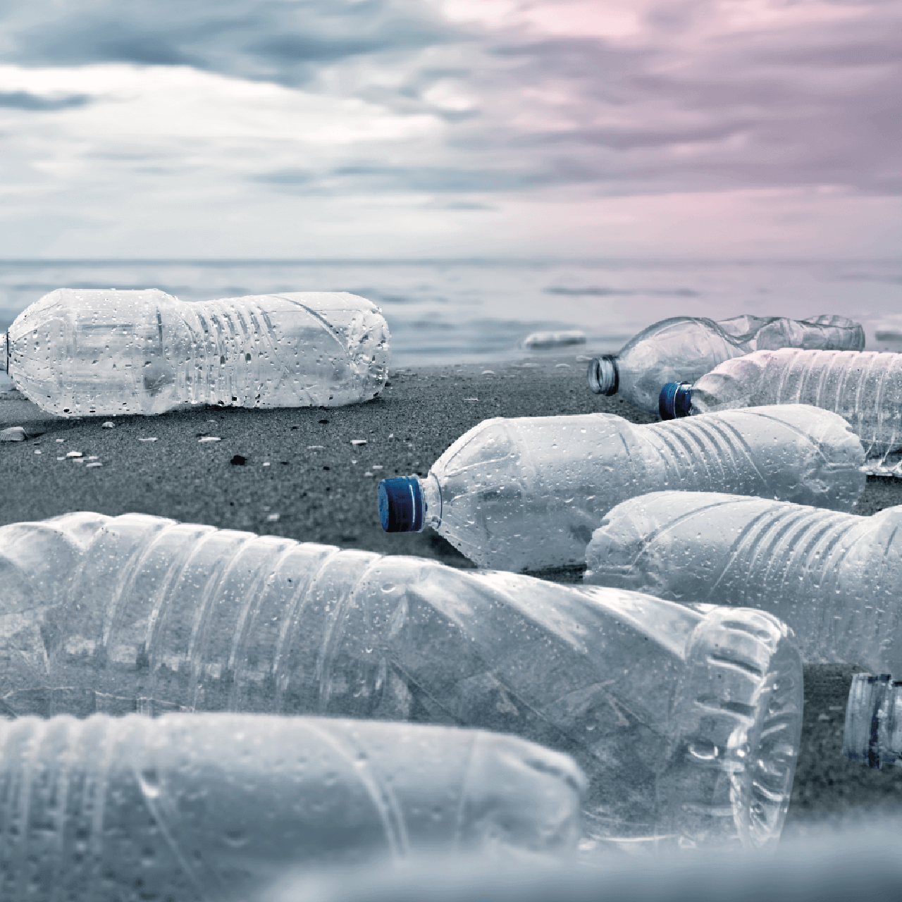 Plasticbottles_1280x1280