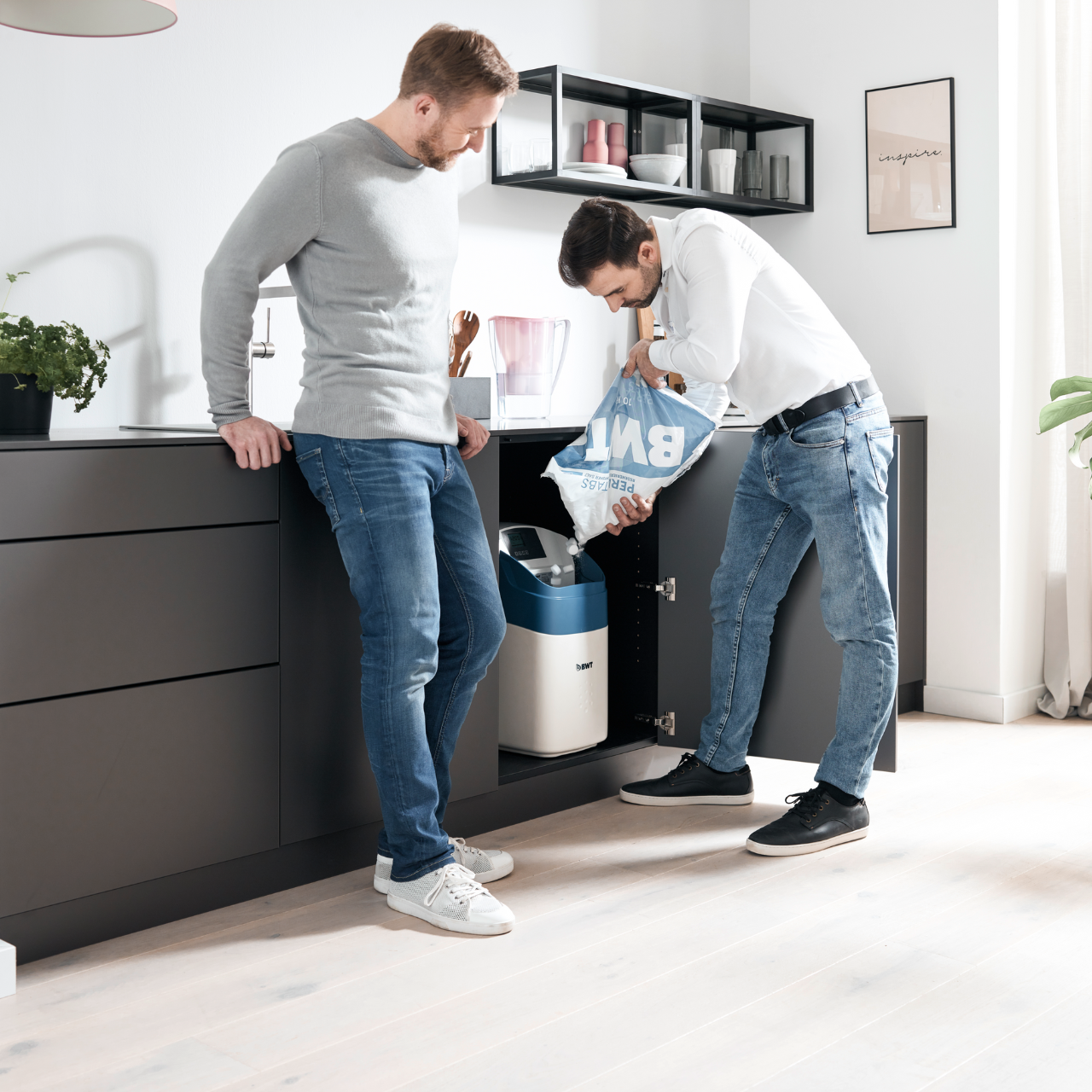 BWT Gids WS salt installer