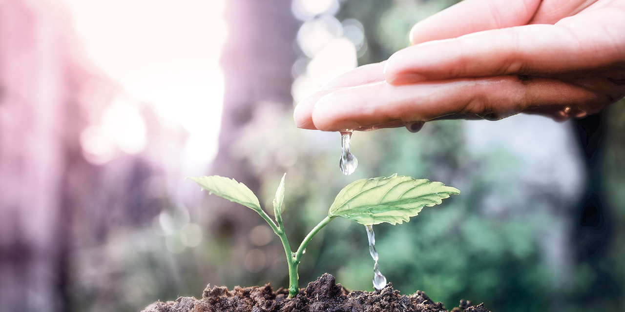 Regenwaterrecuperatie: een milieuvriendelijk oplossing