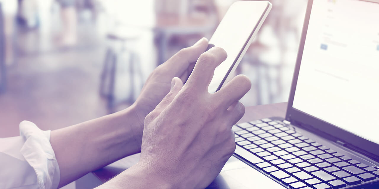 info catalogus - info catalogue