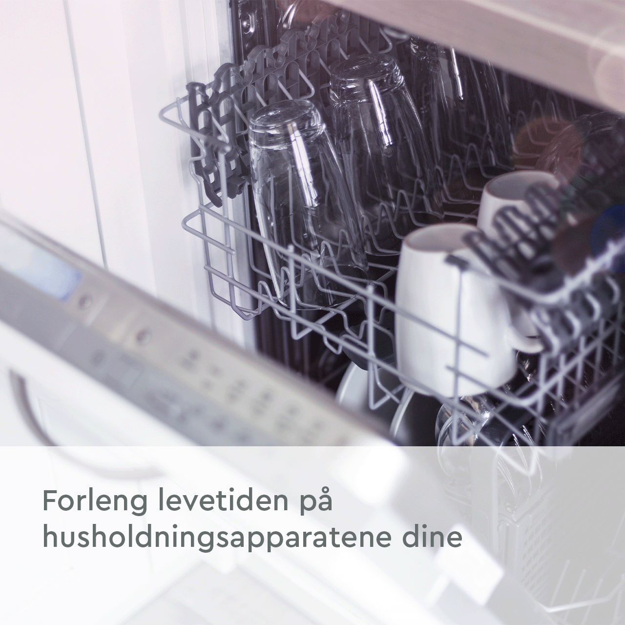 Forleng levetiden på husholdningsapparatene dine BWT