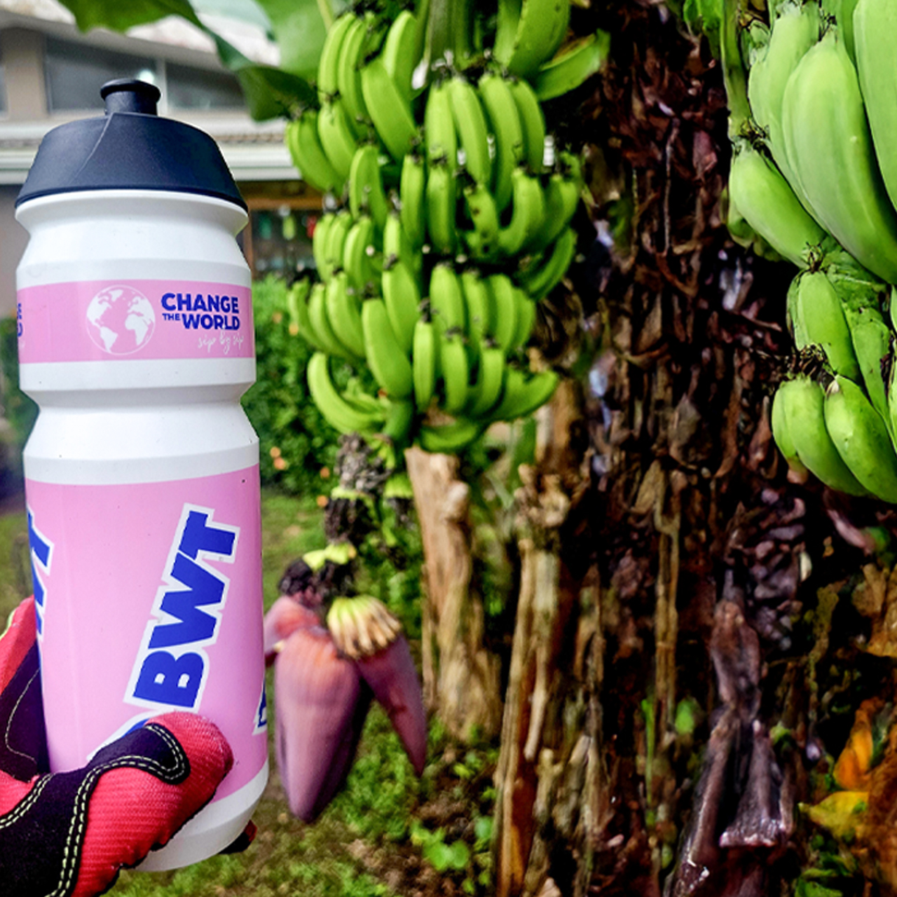 Misja Kostaryka 2025