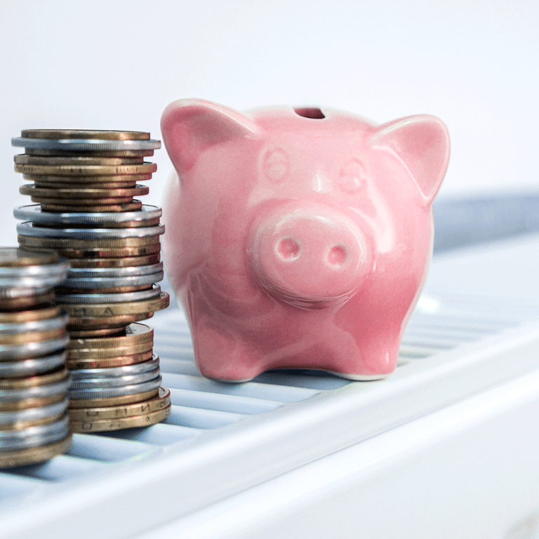 Priser på BWT poolrobotter