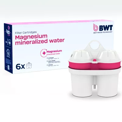 Magnesium Mineralized Water 6er Pack