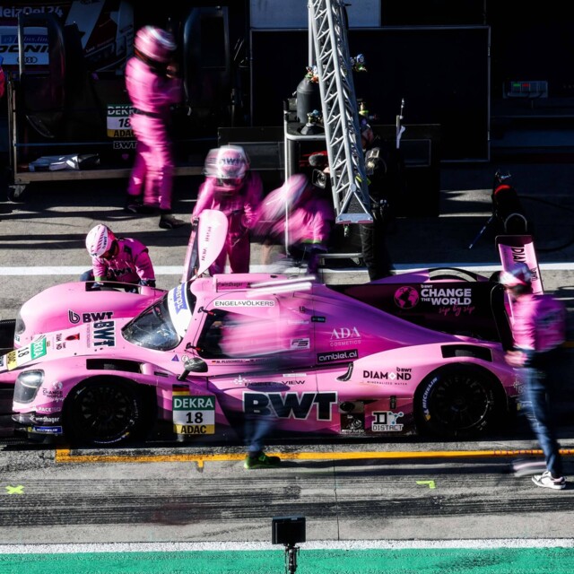 Sport-Sponsoring-Muecke